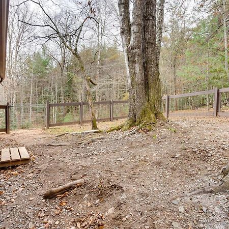 Peaceful Warne Cabin Fenced Yard And Screened Porch Brasstown Εξωτερικό φωτογραφία
