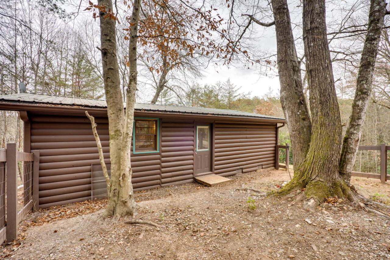 Peaceful Warne Cabin Fenced Yard And Screened Porch Brasstown Εξωτερικό φωτογραφία